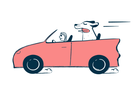 Dog in a car logo